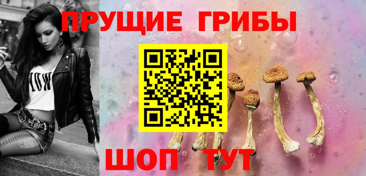 Чернушка  Галлюциногенные грибы GOLDEN TEACHER  Галлюциногенные грибы Cubensis  купить закладку  Вход с VPN 